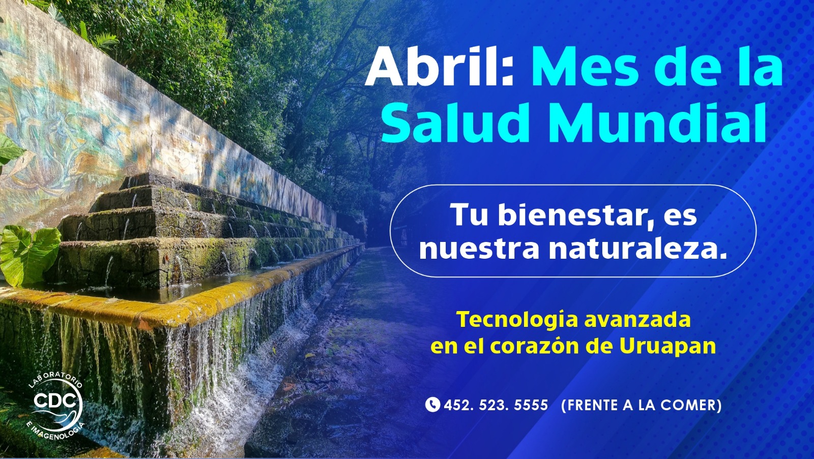 WhatsApp Image 2026-03-30 at 13.19.45-3